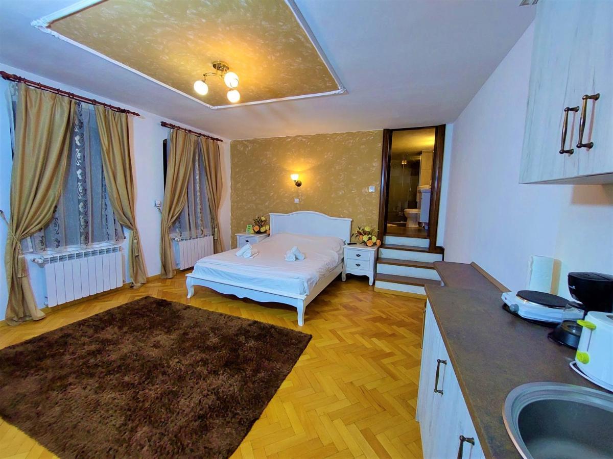 Tribunei Apartment Sibiu Buitenkant foto